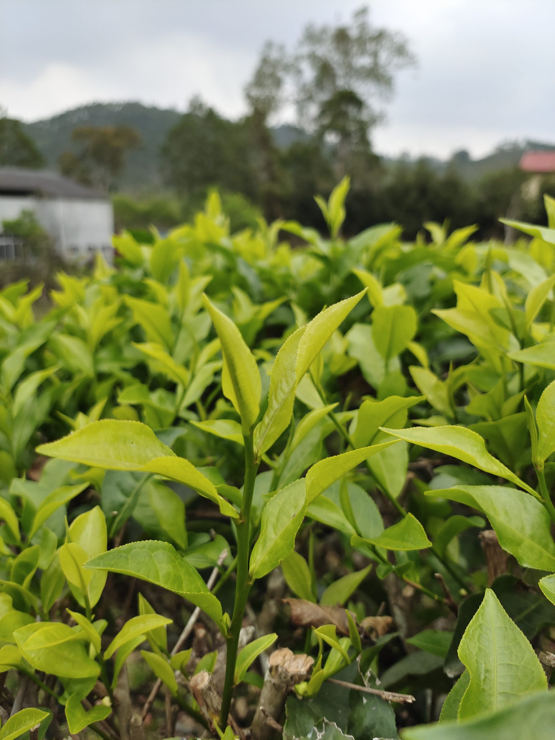 our-story-01 IMG 20210418 124830 Scaled