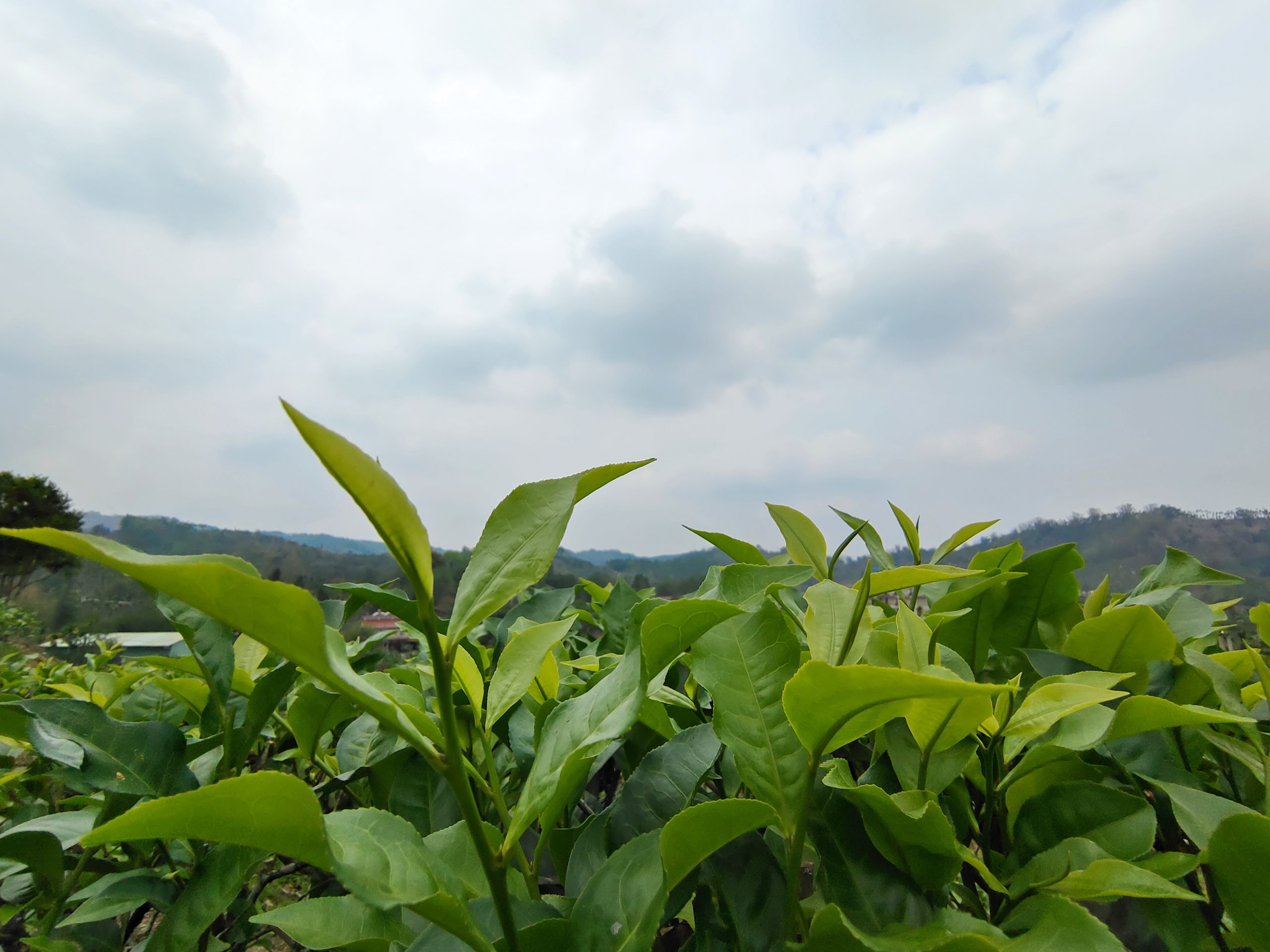 why-choose-us-02 IMG 20210418 125030 Scaled