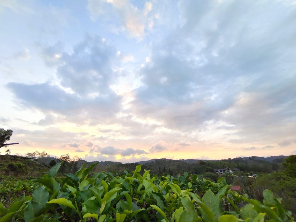 The Art of Drawing Readers In: Your attractive post title goes here