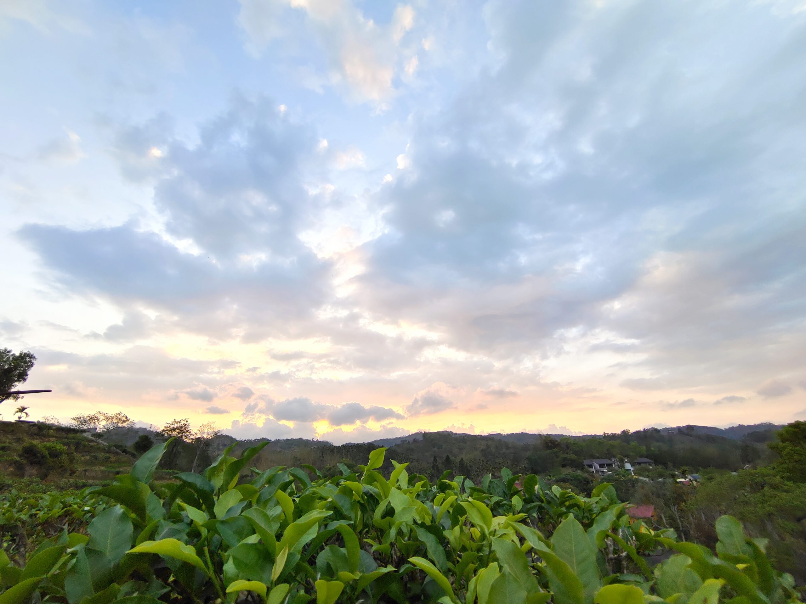 why-choose-us-01 IMG 20210424 180300 Scaled